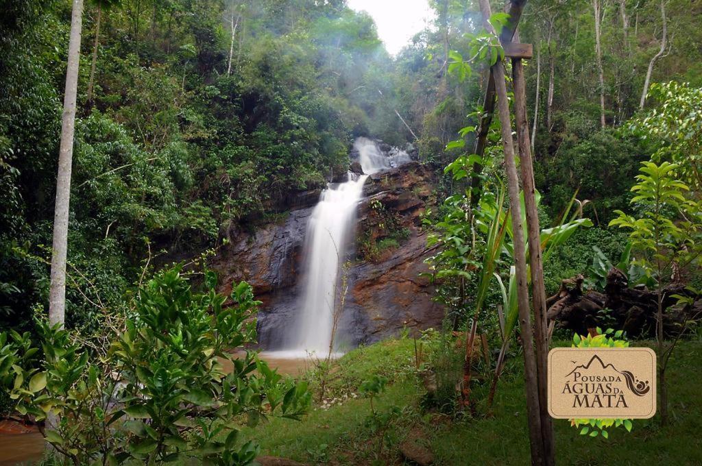 Pousada Cachoeira Da Mata Brejetuba Eksteriør bilde